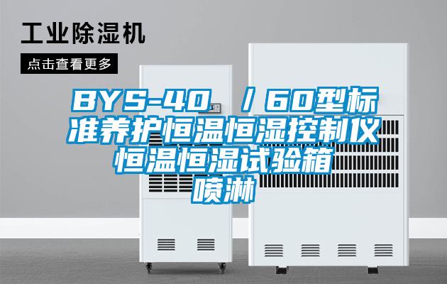 BYS-40 ／60型标准养护恒温恒湿控制仪  恒温恒湿试验箱  喷淋