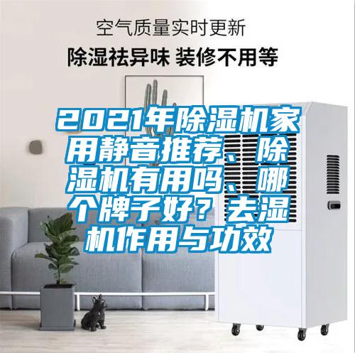 2021年除湿机家用静音推荐、除湿机有用吗、哪个牌子好？去湿机作用与功效