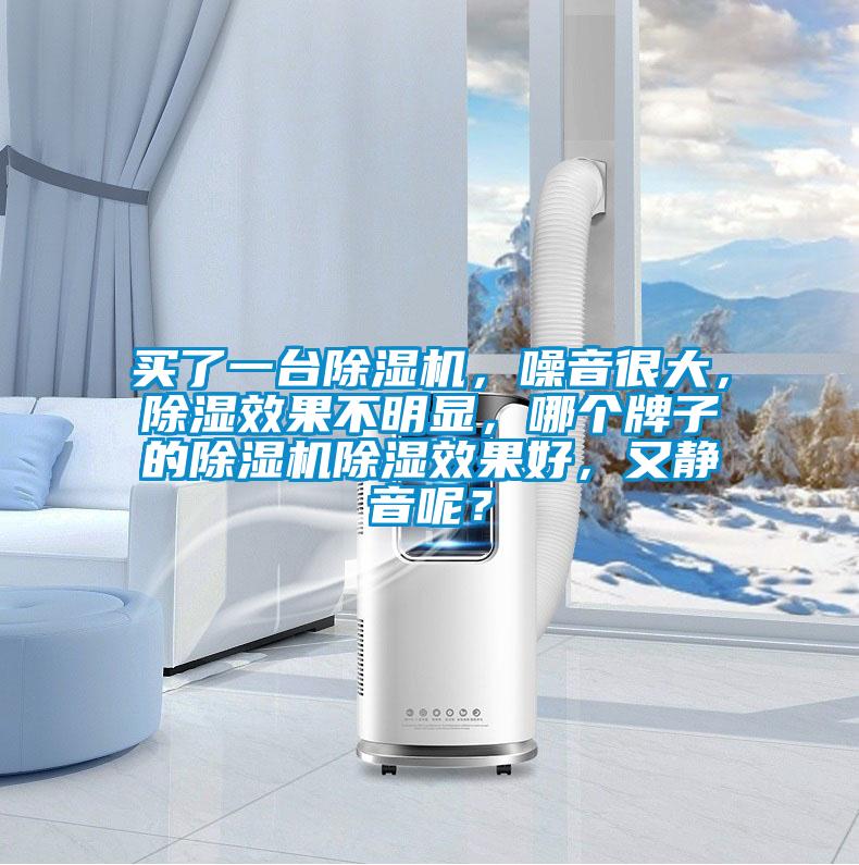 买了一台除湿机，噪音很大，除湿效果不明显，哪个牌子的除湿机除湿效果好，又静音呢？