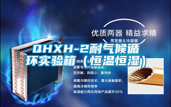 QHXH-2耐气候循环实验箱（恒温恒湿）