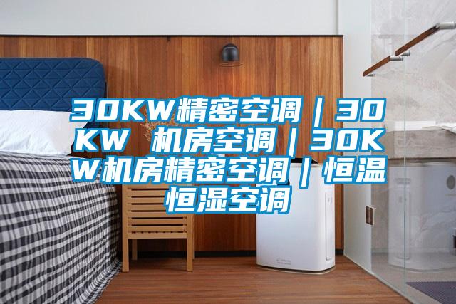 30KW精密空调｜30KW 机房空调｜30KW机房精密空调｜恒温恒湿空调