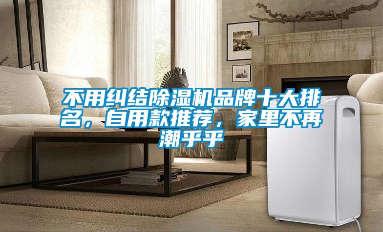 不用纠结除湿机品牌十大排名，自用款推荐，家里不再潮乎乎