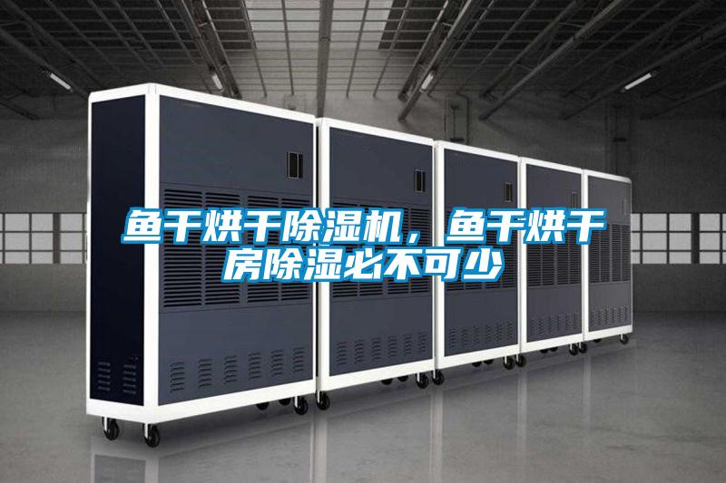 鱼干烘干除湿机，鱼干烘干房除湿必不可少