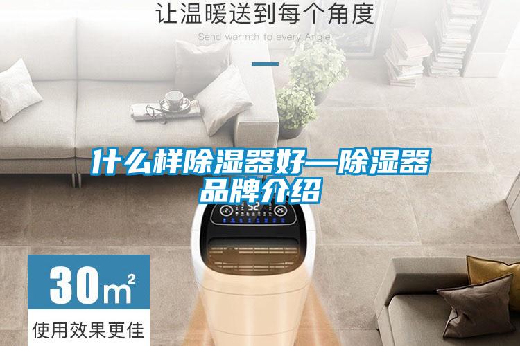 什么样除湿器好—除湿器品牌介绍