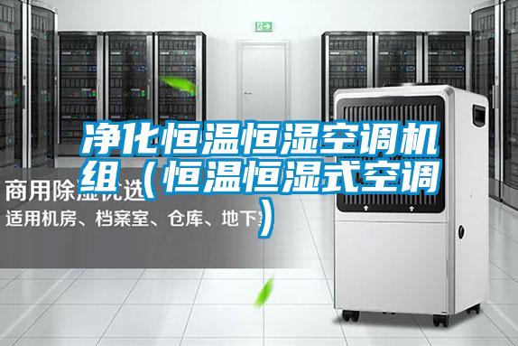 净化恒温恒湿空调机组(恒温恒湿式空调)