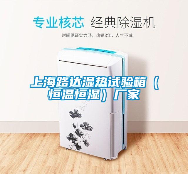 上海路达湿热试验箱（恒温恒湿）厂家