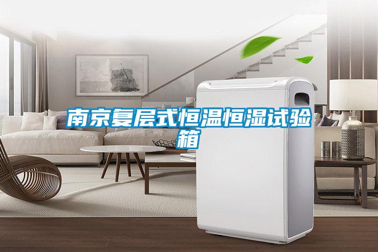 南京复层式恒温恒湿试验箱