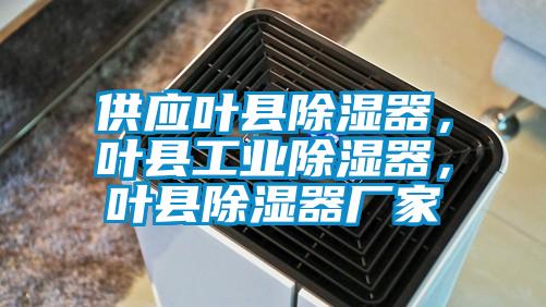 供应叶县除湿器，叶县工业除湿器，叶县除湿器厂家