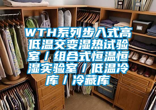 WTH系列步入式高低温交变湿热试验室／组合式恒温恒湿实验室／低温冷库／冷藏库