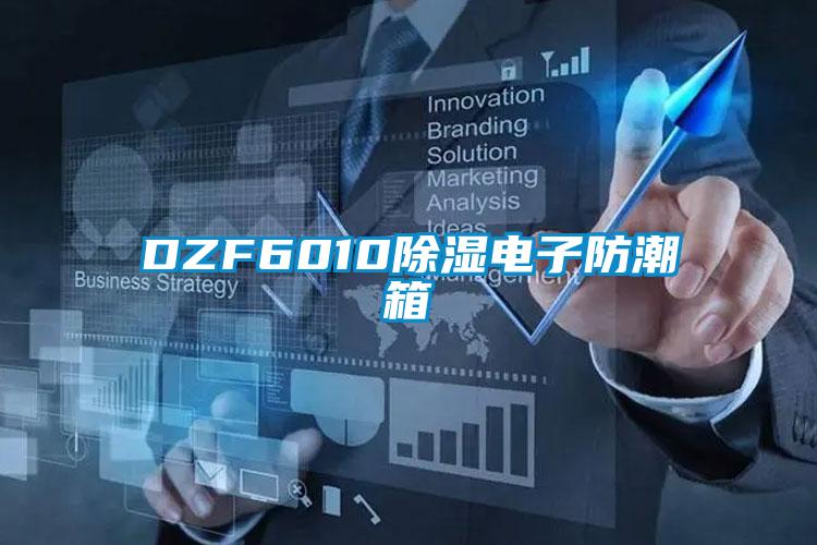 DZF6010除湿电子防潮箱