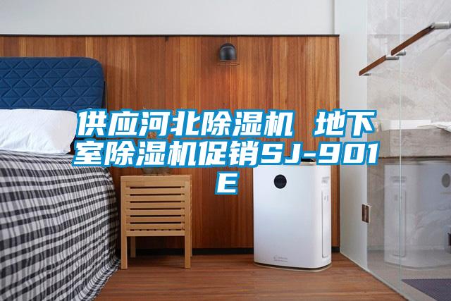 供应河北除湿机 地下室除湿机促销SJ-901E