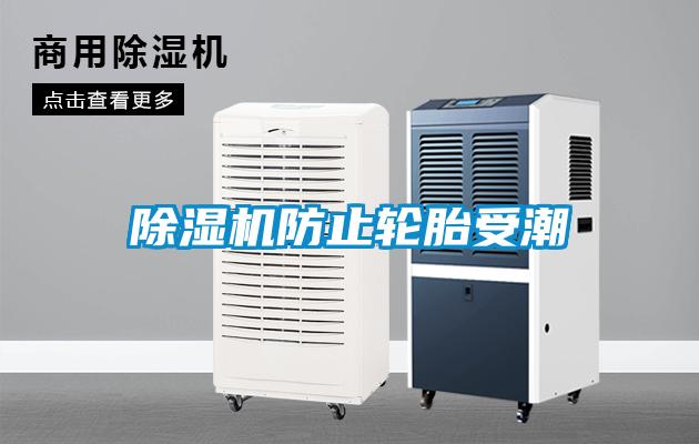 除湿机防止轮胎受潮