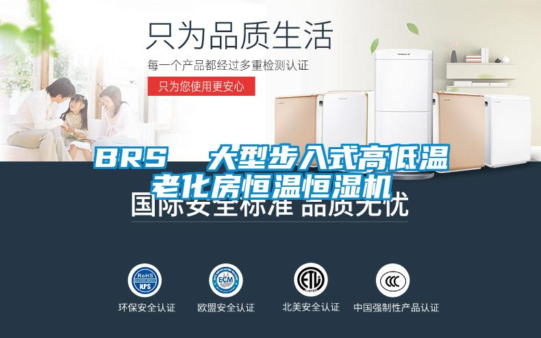BRS  大型步入式高低温老化房恒温恒湿机