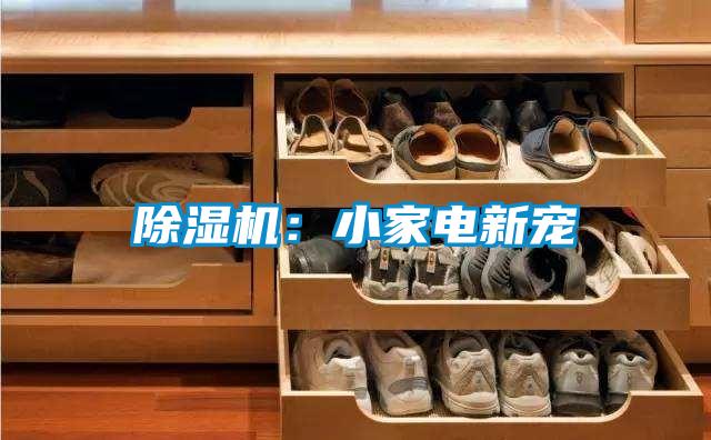除湿机：小家电新宠