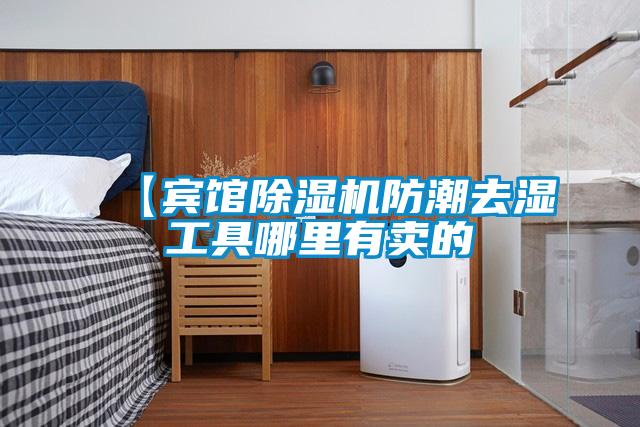 【宾馆除湿机防潮去湿工具哪里有卖的