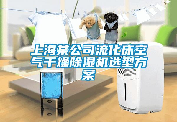 上海某公司流化床空气干燥除湿机选型方案