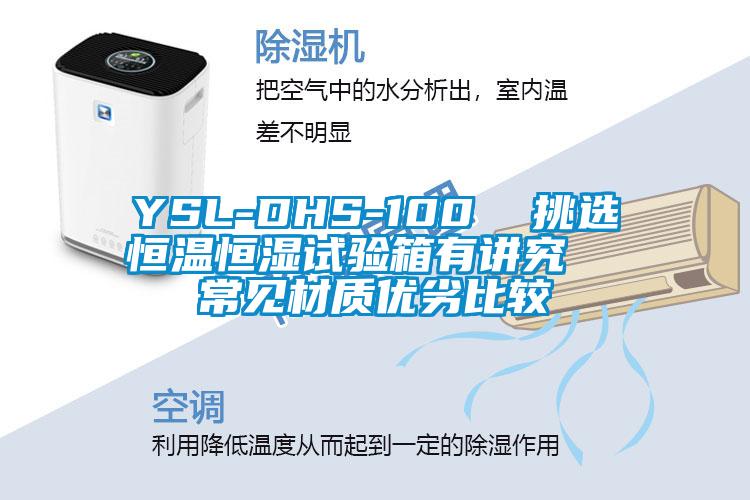 YSL-DHS-100 挑选恒温恒湿试验箱有讲究 常见材质优劣比较