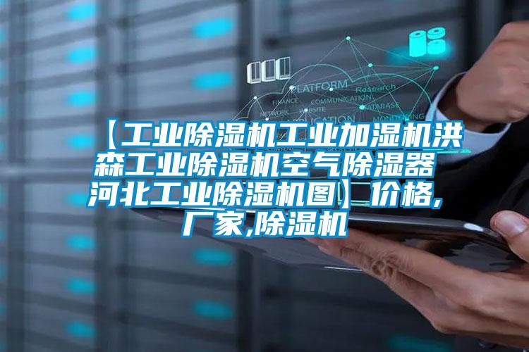 【工业除湿机工业加湿机洪森工业除湿机空气除湿器河北工业除湿机图】价格,厂家,除湿机