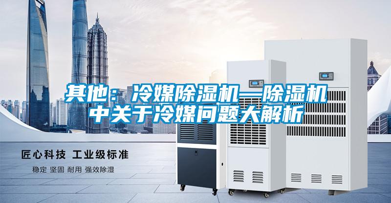 其他：冷媒除湿机—除湿机中关于冷媒问题大解析