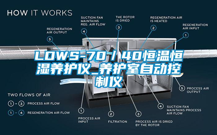 LDWS-70／40恒温恒湿养护仪_养护室自动控制仪