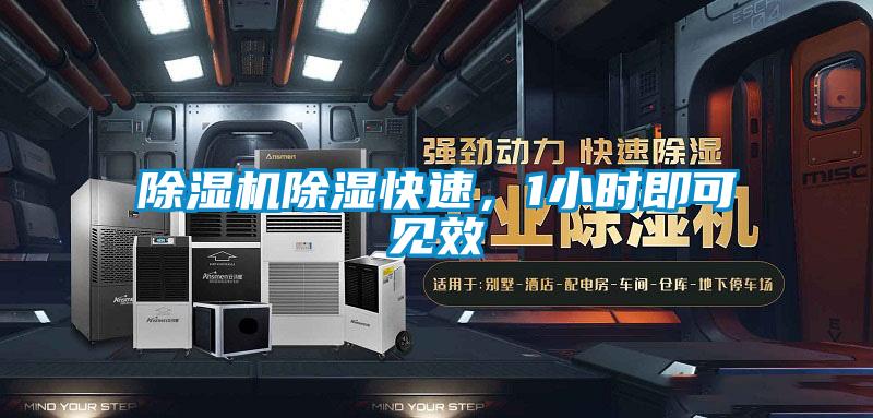 除湿机除湿快速，1小时即可见效