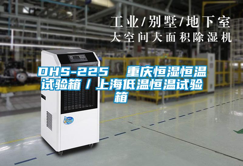 DHS-225  重庆恒湿恒温试验箱／上海低温恒温试验箱