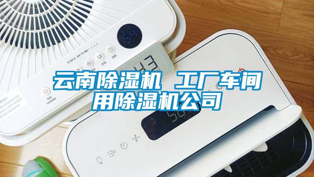 云南除湿机 工厂车间用除湿机公司