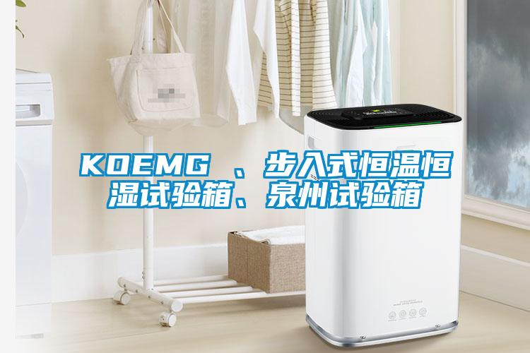 KOEMG 、步入式恒温恒湿试验箱、泉州试验箱