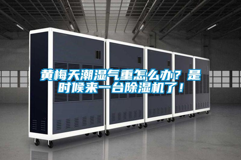 黄梅天潮湿气重怎么办？是时候来一台除湿机了！