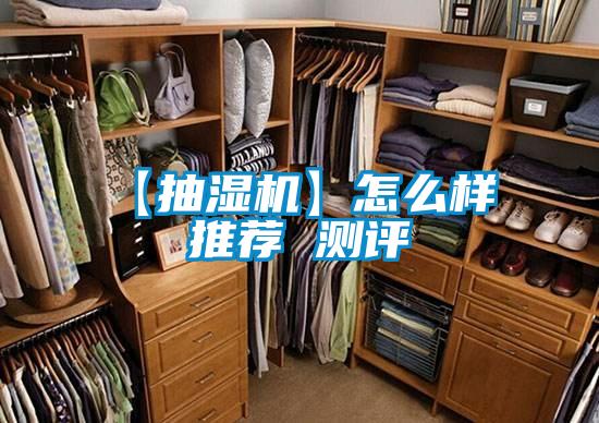 【抽湿机】怎么样 推荐 测评
