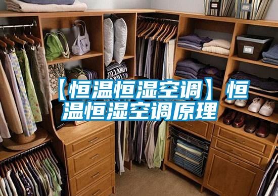 【恒温恒湿空调】恒温恒湿空调原理