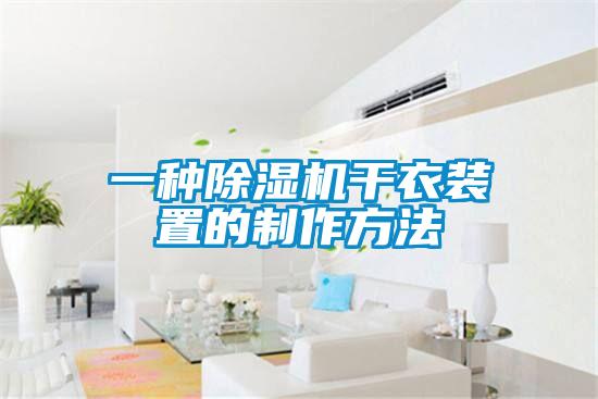 一种除湿机干衣装置的制作方法