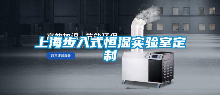 上海步入式恒湿实验室定制