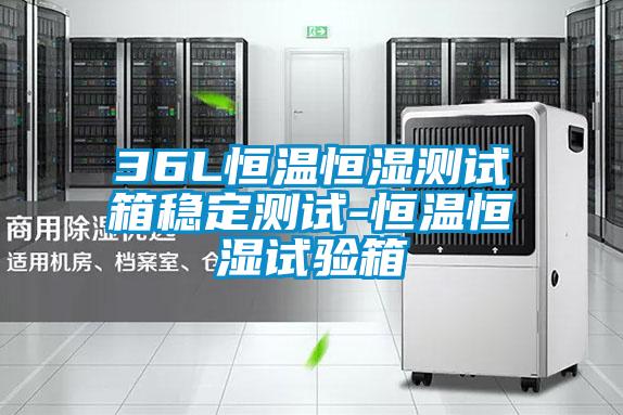 36L恒温恒湿测试箱稳定测试-恒温恒湿试验箱