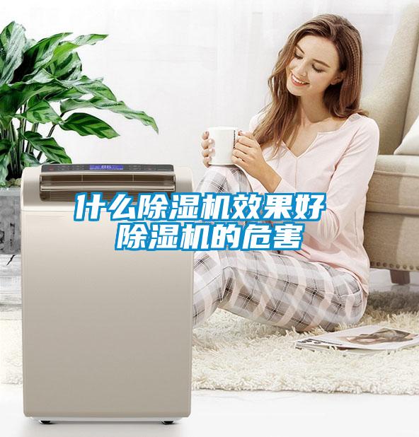 什么除湿机效果好 除湿机的危害
