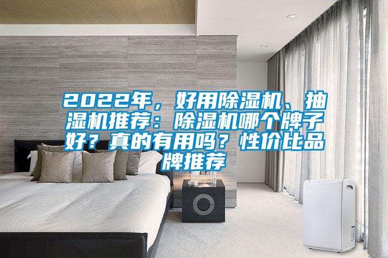 2022年，好用除湿机、抽湿机推荐：除湿机哪个牌子好？真的有用吗？性价比品牌推荐