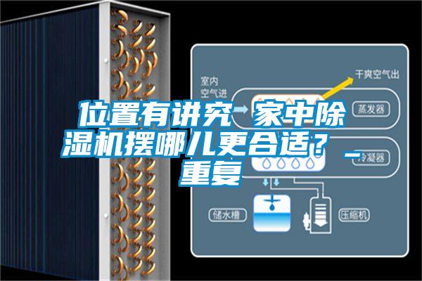 位置有讲究 家中除湿机摆哪儿更合适？_重复