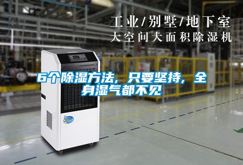 6个除湿方法, 只要坚持, 全身湿气都不见