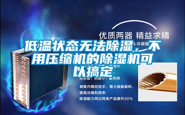 低温状态无法除湿，不用压缩机的除湿机可以搞定