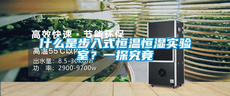 什么是步入式恒温恒湿实验室？一探究竟