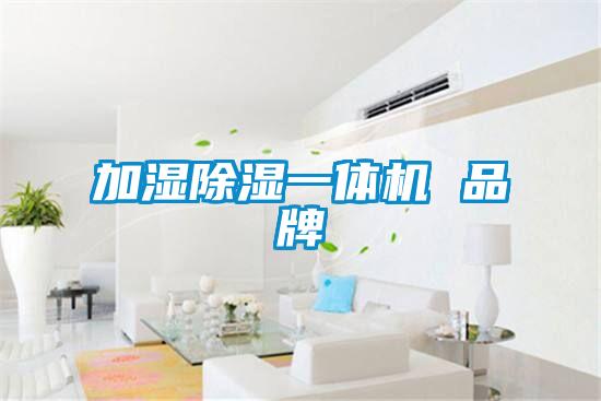 加湿除湿一体机 品牌