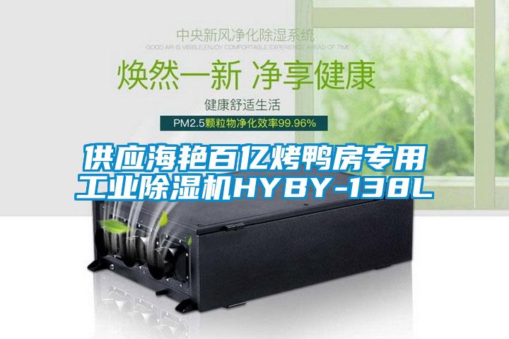 供应海艳百亿烤鸭房专用工业除湿机HYBY-138L