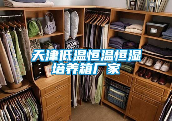 天津低温恒温恒湿培养箱厂家