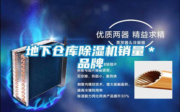地下仓库除湿机销量*品牌