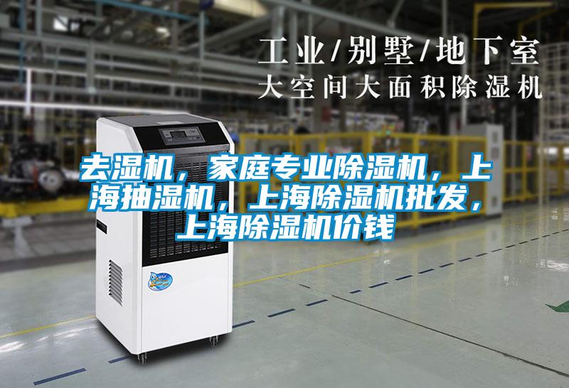 去湿机，家庭专业除湿机，上海抽湿机，上海除湿机批发，上海除湿机价钱