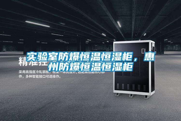 实验室防爆恒温恒湿柜，惠州防爆恒温恒湿柜