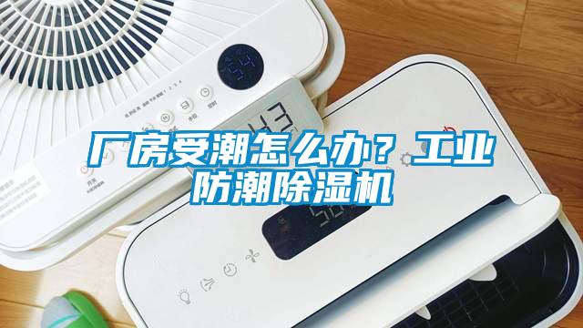 厂房受潮怎么办？工业防潮除湿机