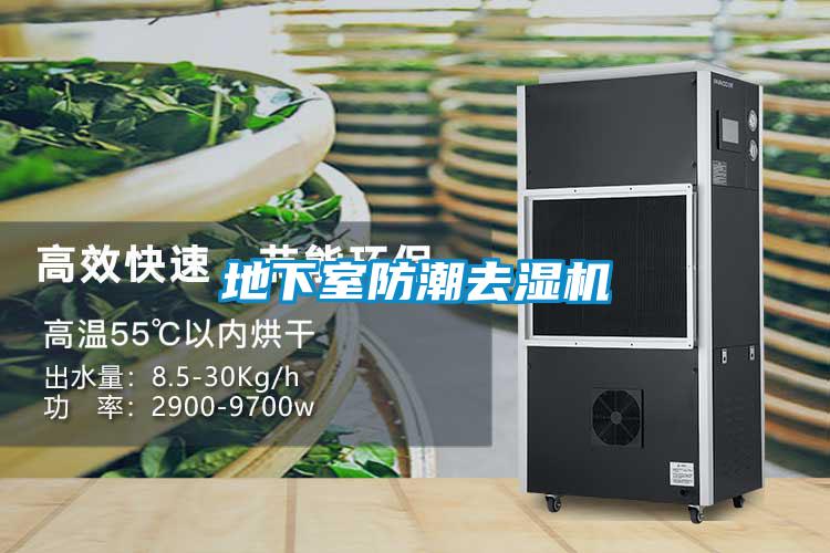 地下室防潮去湿机