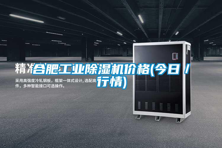 合肥工业除湿机价格(今日/行情)