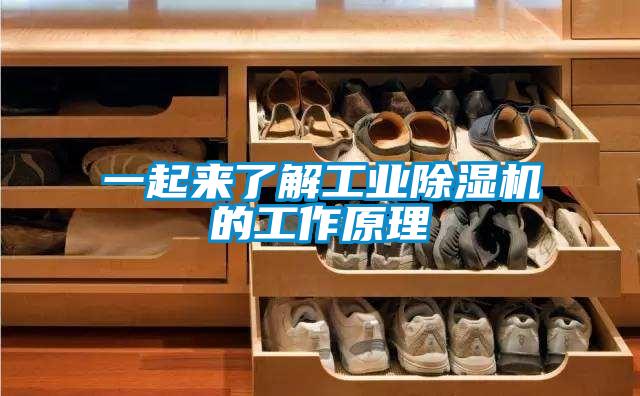 一起来了解工业除湿机的工作原理